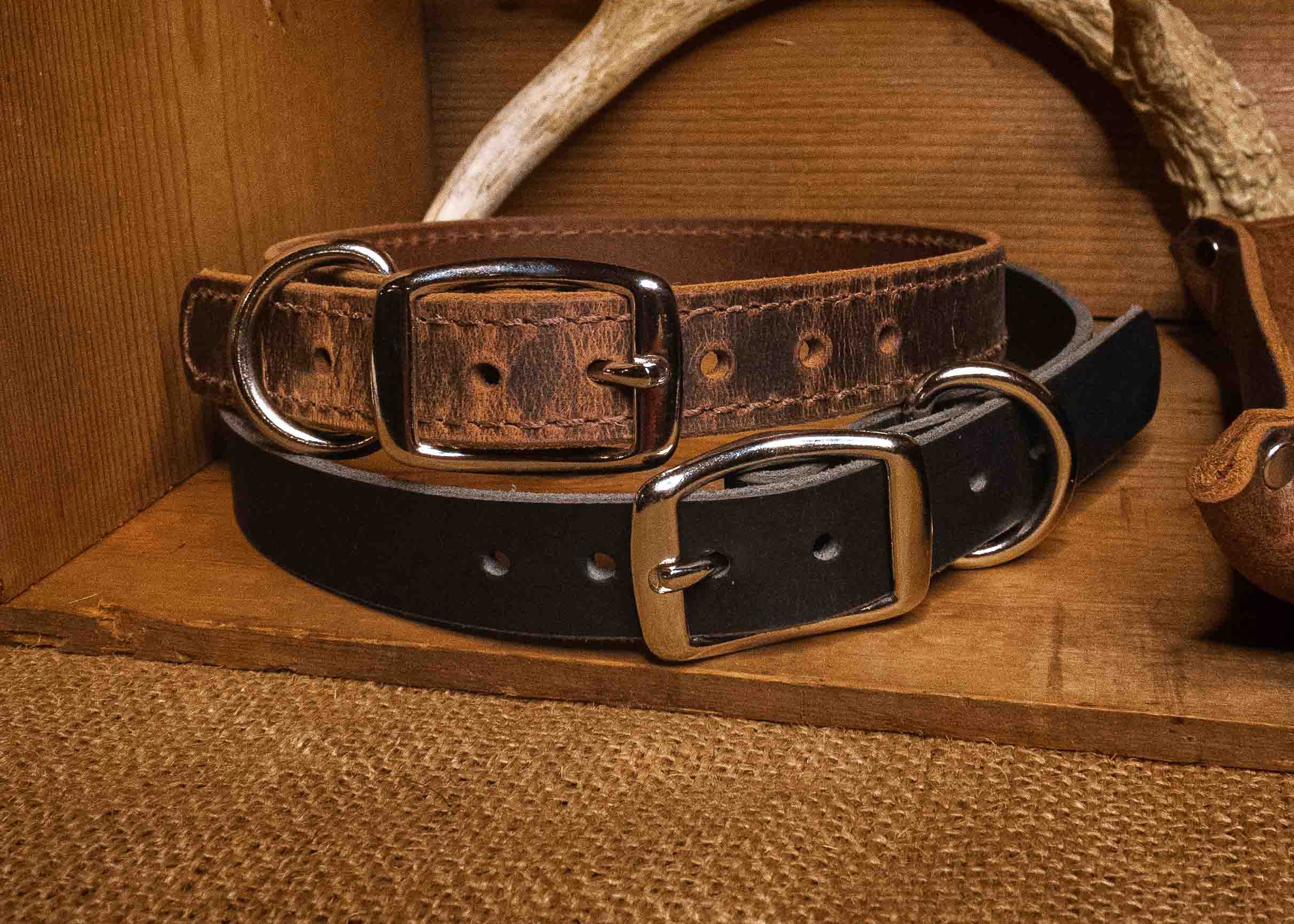 Leather Pet Collar