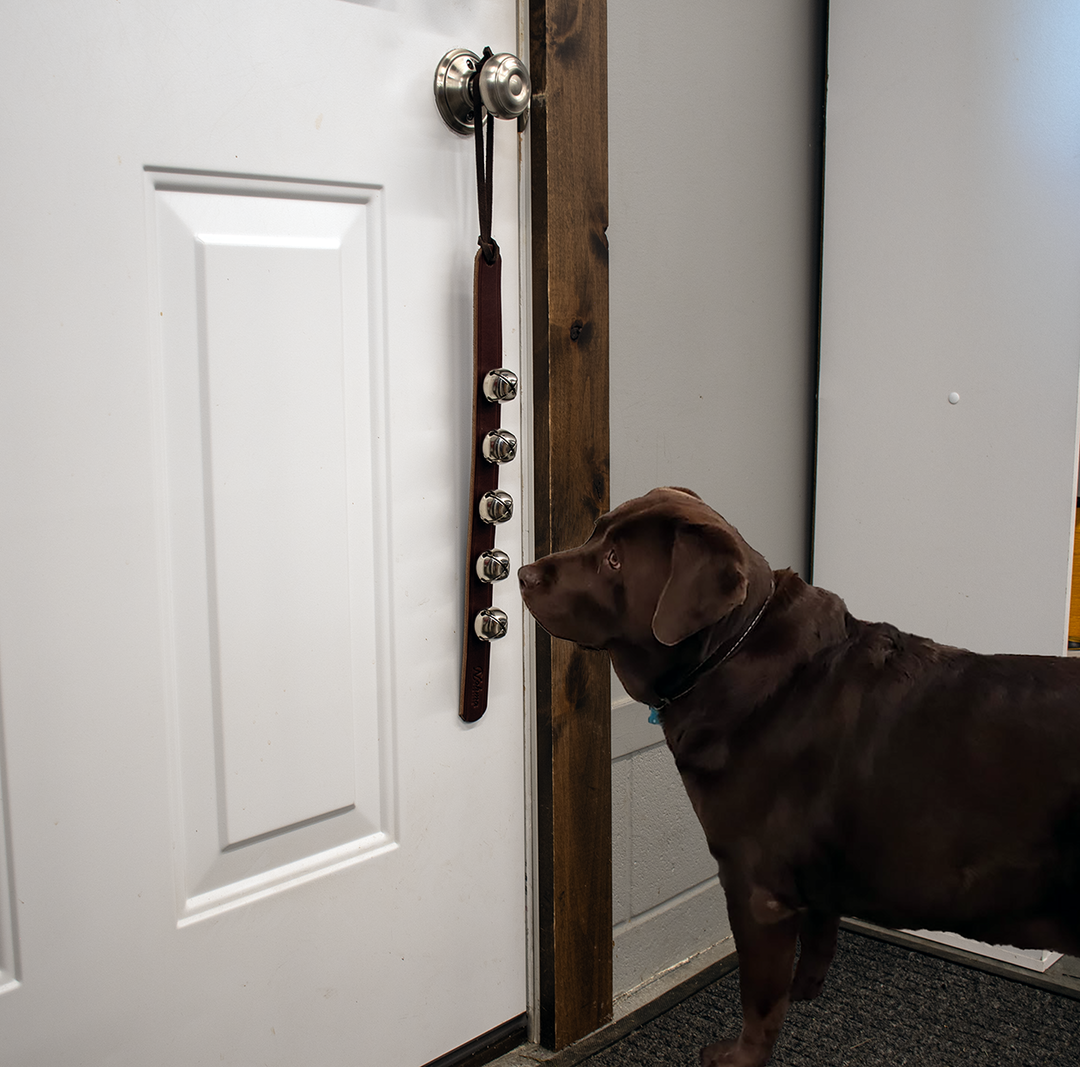 Leather Door Hanger Bells – Handmade Brass & Silver Sleigh Bells & Dog Training Bells