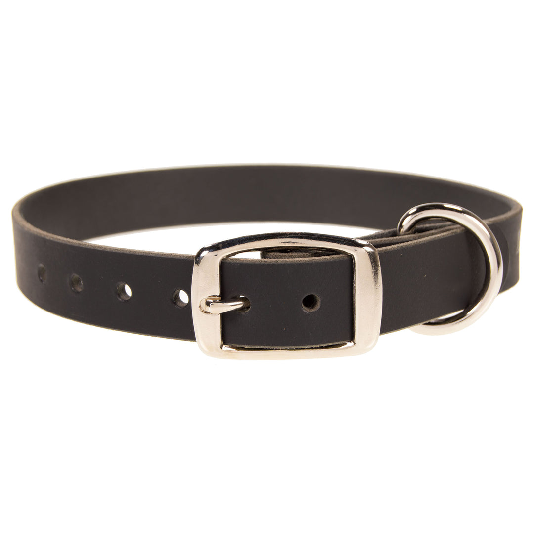 1" Wide Dog Collar