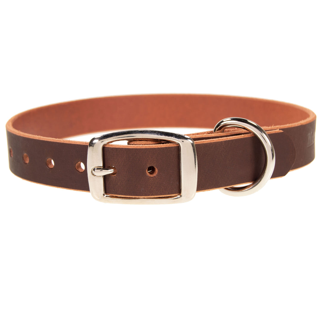 1" Wide Dog Collar