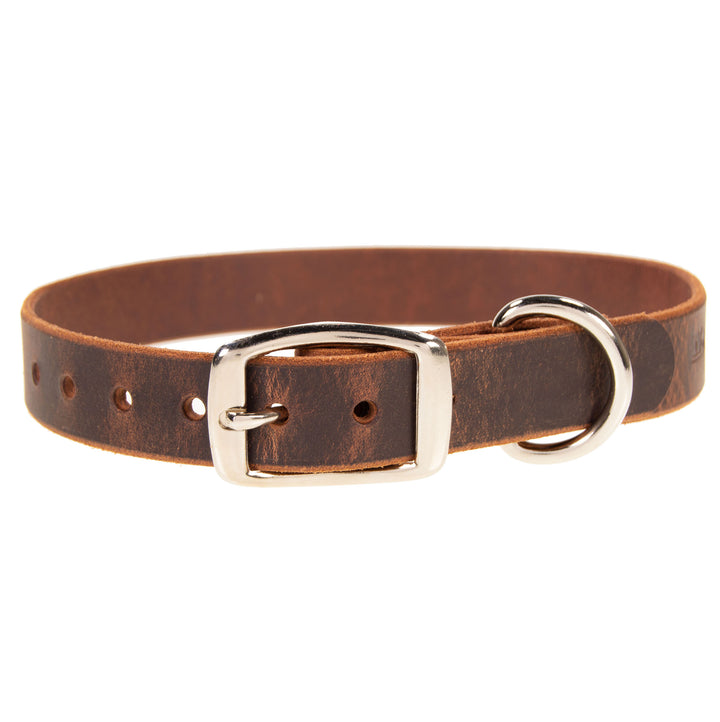 1" Wide Dog Collar